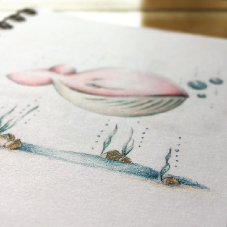 anteprima Animailetti